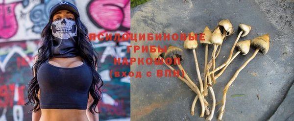 а пвп мука Михайлов
