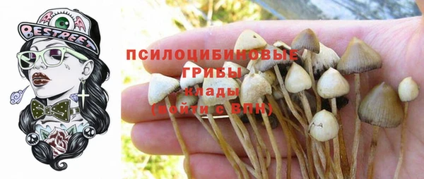 хмурый Балахна