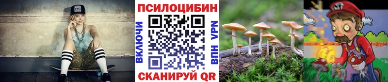 Псилоцибиновые грибы мухоморы  купить наркотик  Пятигорск 